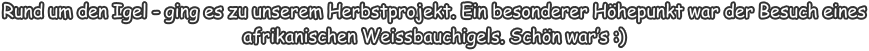 Rund um den Igel - ging es zu unserem Herbstprojekt. Ein besonderer Höhepunkt war der Besuch eines afrikanischen Weissbauchigels. Schön war’s :)