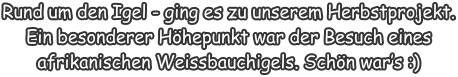 Rund um den Igel - ging es zu unserem Herbstprojekt. Ein besonderer Höhepunkt war der Besuch eines afrikanischen Weissbauchigels. Schön war’s :)