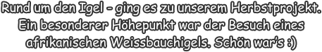 Rund um den Igel - ging es zu unserem Herbstprojekt. Ein besonderer Höhepunkt war der Besuch eines afrikanischen Weissbauchigels. Schön war’s :)